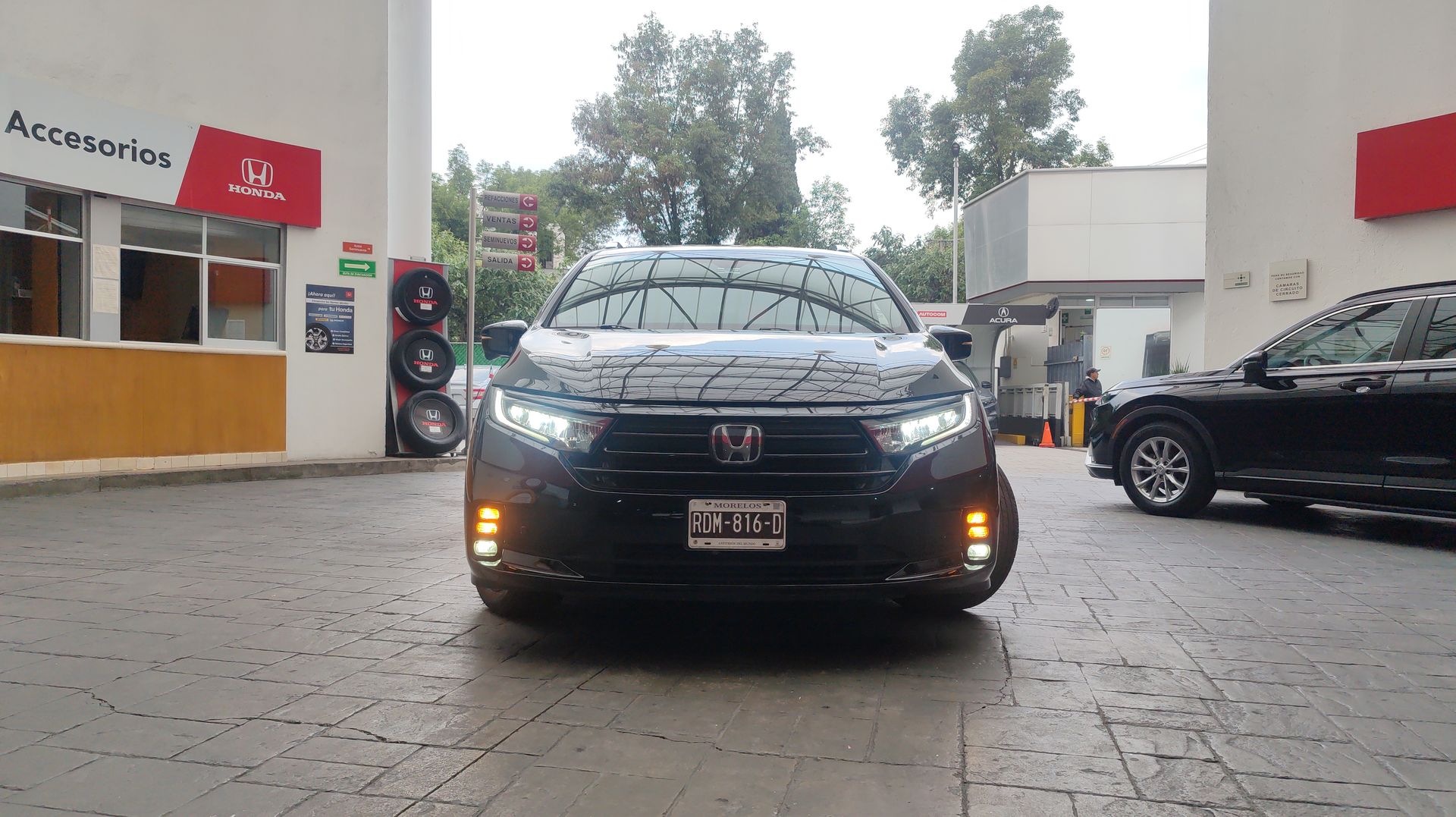 2024 Honda ODYSSEY BLACK EDITION